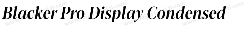 Blacker Pro Display Condensed Trial字体转换